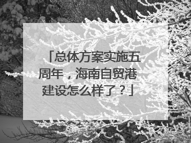 总体方案实施五周年，海南自贸港建设怎么样了？