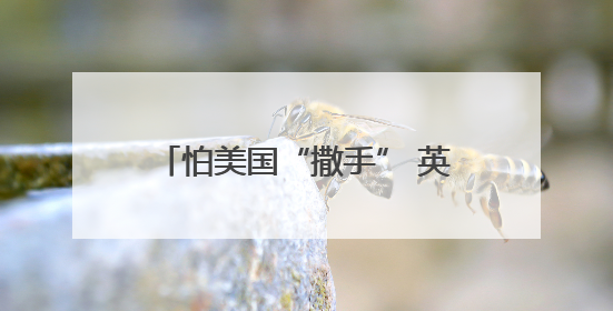 怕美国“撒手” 英国欲加大开发核武力