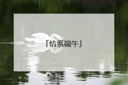 情系端午