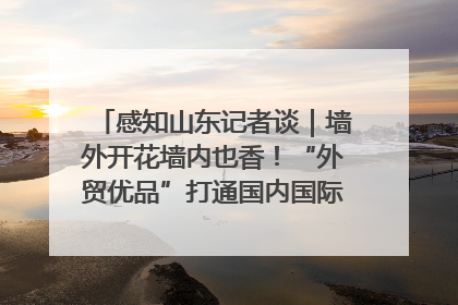 感知山东记者谈｜墙外开花墙内也香！“外贸优品”打通国内国际市场“旋转门”