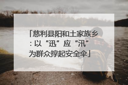 慈利县阳和土家族乡：以“迅”应“汛” 为群众撑起安全伞