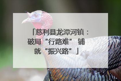 慈利县龙潭河镇：破局“行路难” 铺就“振兴路”