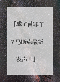 成了替罪羊？马斯克最新发声！