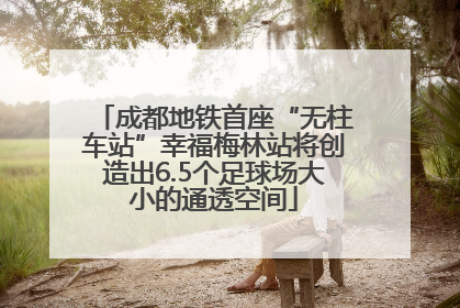 成都地铁首座“无柱车站”幸福梅林站将创造出6.5个足球场大小的通透空间