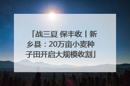战三夏 保丰收丨新乡县：20万亩小麦种子田开启大规模收割