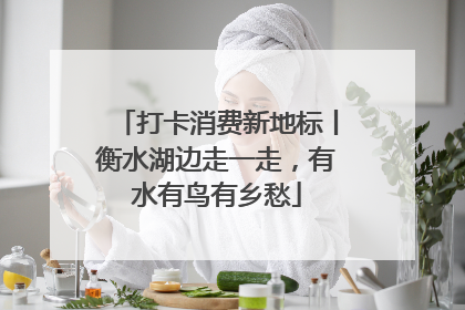 打卡消费新地标丨衡水湖边走一走，有水有鸟有乡愁
