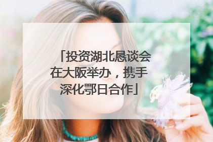 投资湖北恳谈会在大阪举办，携手深化鄂日合作