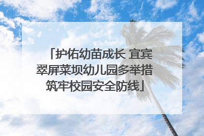 护佑幼苗成长 宜宾翠屏菜坝幼儿园多举措筑牢校园安全防线