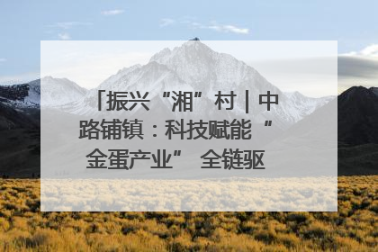 振兴“湘”村｜中路铺镇：科技赋能“金蛋产业” 全链驱动乡村振兴