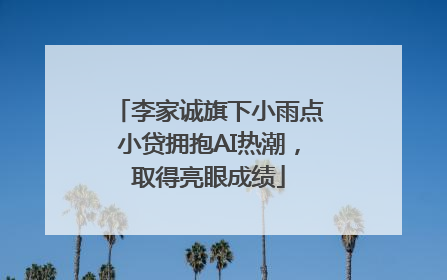李家诚旗下小雨点小贷拥抱AI热潮，取得亮眼成绩