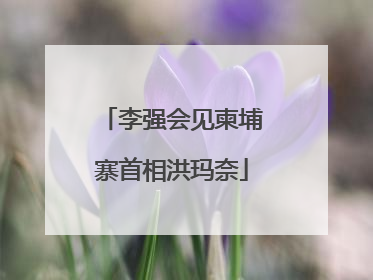 李强会见柬埔寨首相洪玛奈
