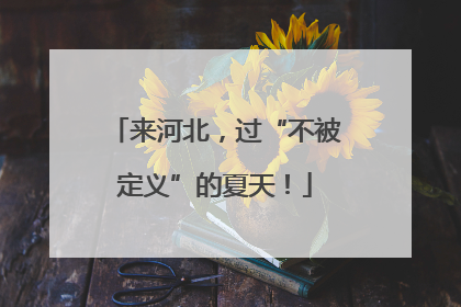 来河北，过“不被定义”的夏天！
