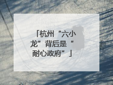 杭州“六小龙”背后是“耐心政府”