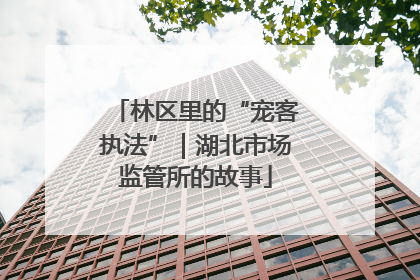 林区里的“宠客执法”｜湖北市场监管所的故事