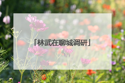 林武在聊城调研