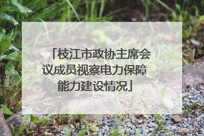 枝江市政协主席会议成员视察电力保障能力建设情况