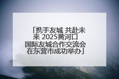 携手友城 共赴未来 2025黄河口国际友城合作交流会在东营市成功举办