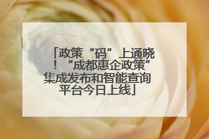 政策“码”上通晓！“成都惠企政策”集成发布和智能查询平台今日上线