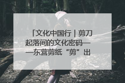 文化中国行｜剪刀起落间的文化密码——东营剪纸“剪”出非遗传承与现代生活的融合之道
