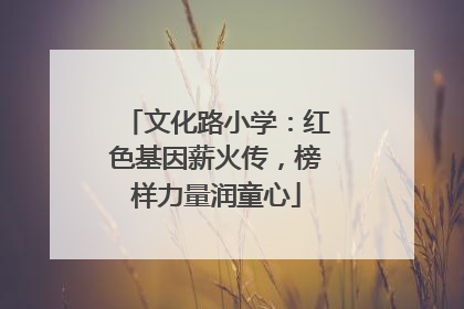 文化路小学：红色基因薪火传，榜样力量润童心
