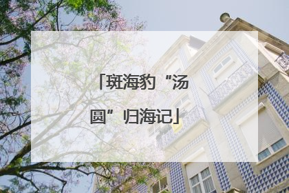 斑海豹“汤圆”归海记