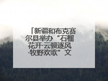 新疆和布克赛尔县举办“石榴花开·云骥逐风·牧野欢歌”文化演出季活动