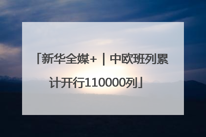 新华全媒+｜中欧班列累计开行110000列