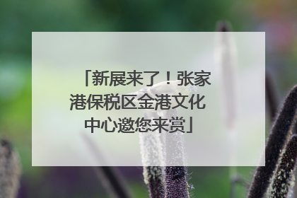 新展来了！张家港保税区金港文化中心邀您来赏