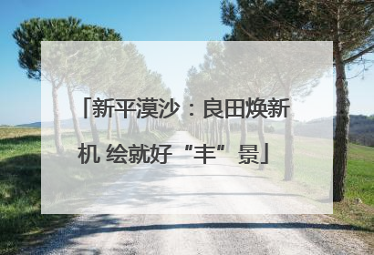 新平漠沙：良田焕新机 绘就好“丰”景