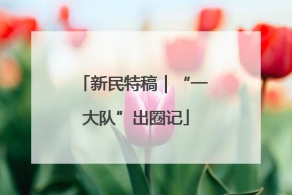 新民特稿｜“一大队”出圈记
