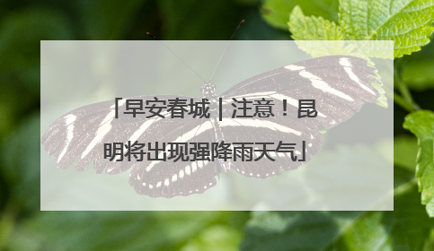 早安春城｜注意！昆明将出现强降雨天气