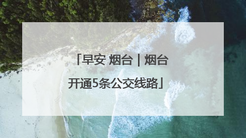 早安 烟台｜烟台开通5条公交线路