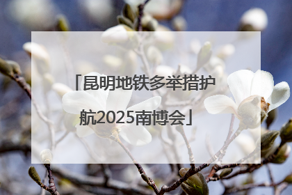 昆明地铁多举措护航2025南博会