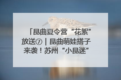 昆曲夏令营“花絮”放送⑦｜昆曲萌娃搭子来袭！苏州“小昆迷”姐弟期待同台演绎“姑苏水磨调”