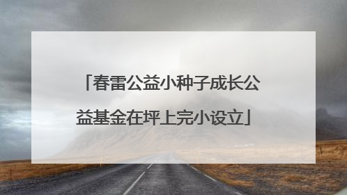 春雷公益小种子成长公益基金在坪上完小设立