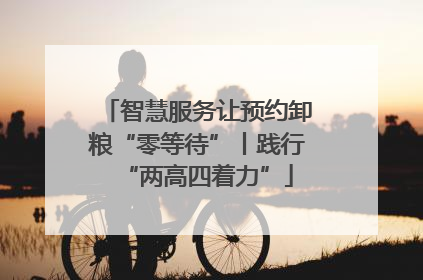 智慧服务让预约卸粮“零等待”丨践行“两高四着力”