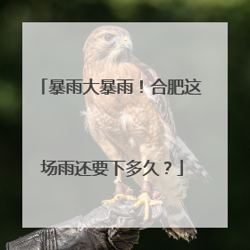 暴雨大暴雨！合肥这场雨还要下多久？