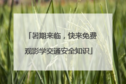 暑期来临，快来免费观影学交通安全知识