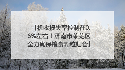 机收损失率控制在0.6%左右！济南市莱芜区全力确保粮食颗粒归仓