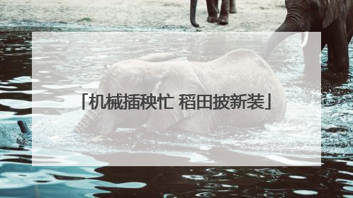 机械插秧忙 稻田披新装