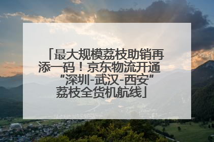 最大规模荔枝助销再添一码！京东物流开通“深圳-武汉-西安” 荔枝全货机航线