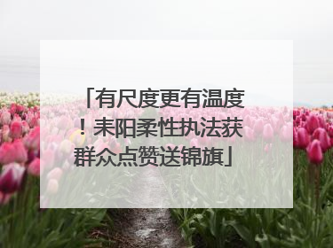 有尺度更有温度！耒阳柔性执法获群众点赞送锦旗