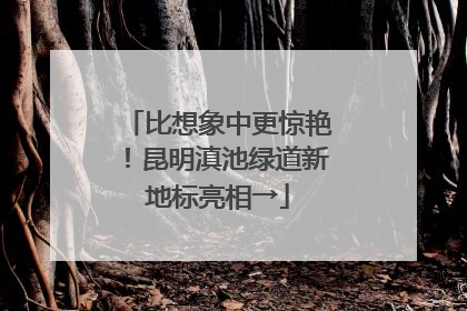 比想象中更惊艳！昆明滇池绿道新地标亮相→