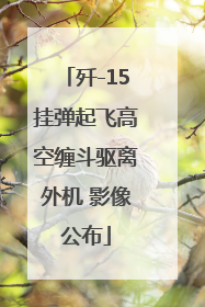 歼-15挂弹起飞高空缠斗驱离外机 影像公布