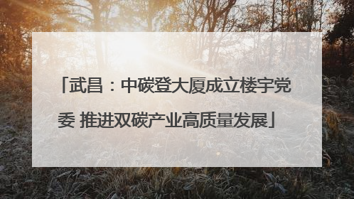 武昌：中碳登大厦成立楼宇党委 推进双碳产业高质量发展
