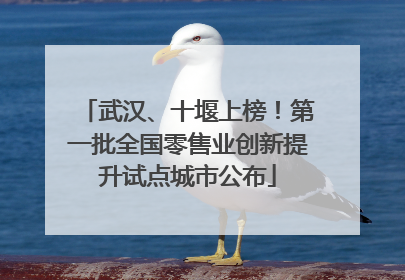 武汉、十堰上榜！第一批全国零售业创新提升试点城市公布