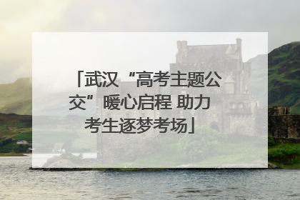 武汉“高考主题公交”暖心启程 助力考生逐梦考场