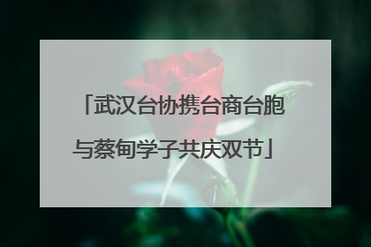 武汉台协携台商台胞与蔡甸学子共庆双节