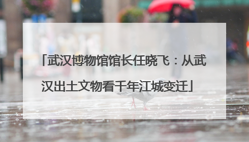武汉博物馆馆长任晓飞：从武汉出土文物看千年江城变迁