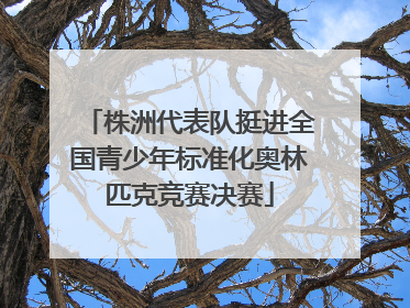 株洲代表队挺进全国青少年标准化奥林匹克竞赛决赛